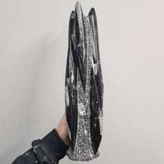 Orthoceras, Fossil Cephalopod (Towers)