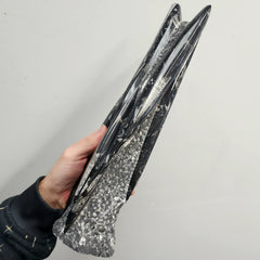 Orthoceras, Fossil Cephalopod (Towers)