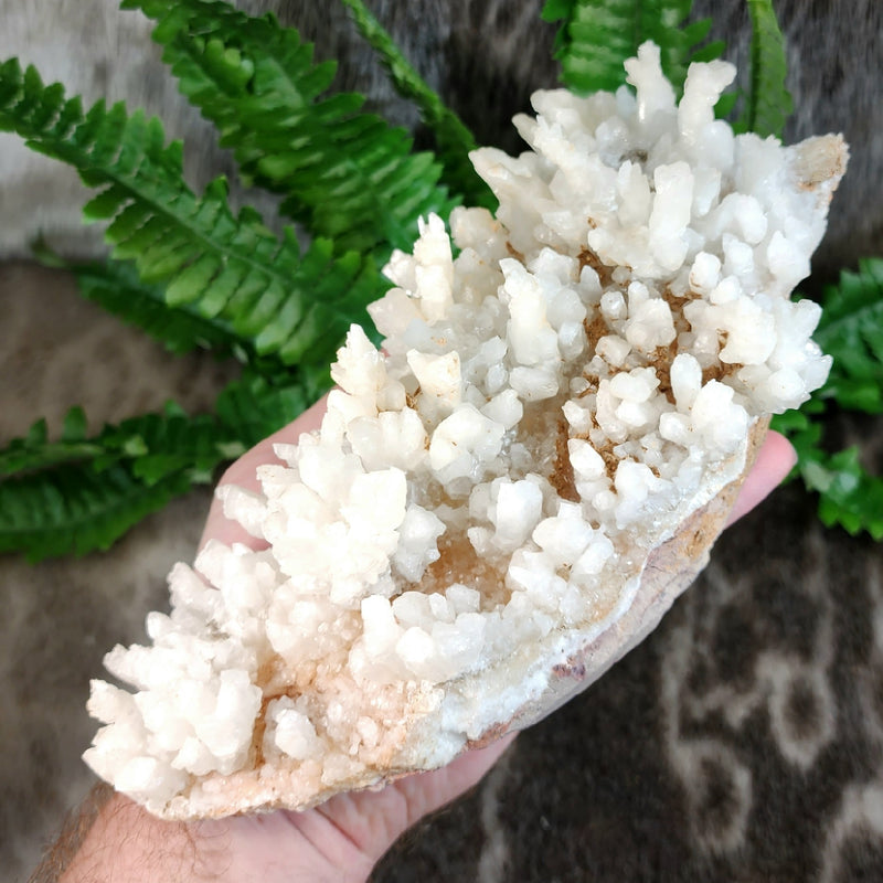 Aragonite & Calcite Crystal Cluster A (8.75")