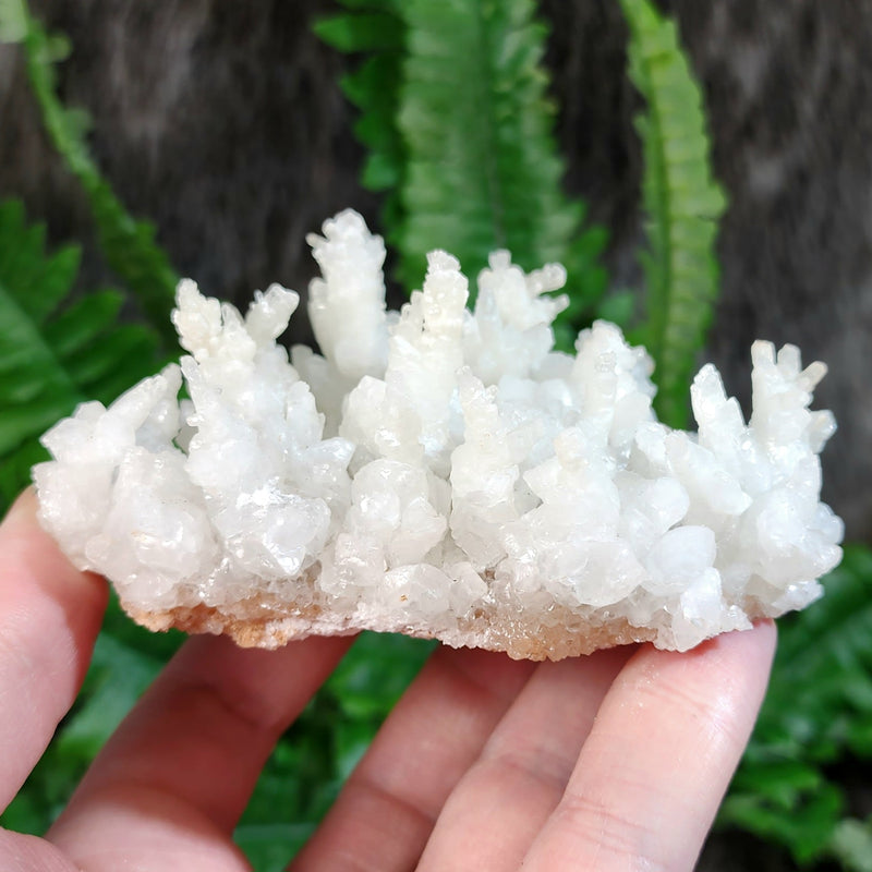 Aragonite & Calcite Crystal Cluster D (4")