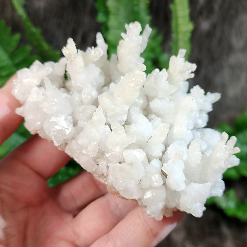 Aragonite & Calcite Crystal Cluster D (4")