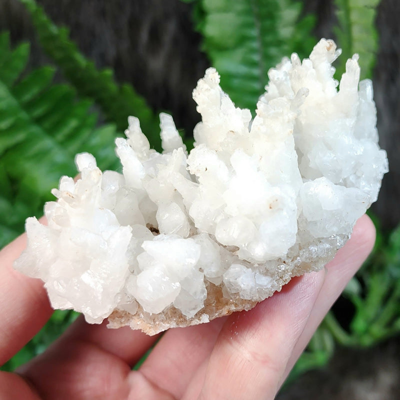 Aragonite & Calcite Crystal Cluster D (4")