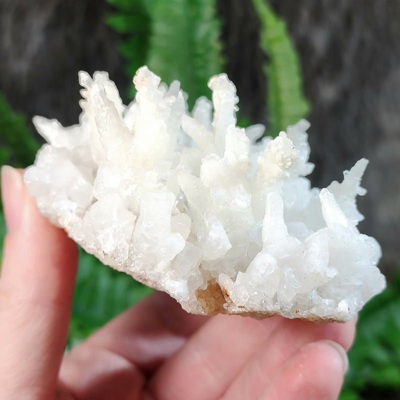 Aragonite & Calcite Crystal Cluster D (4")