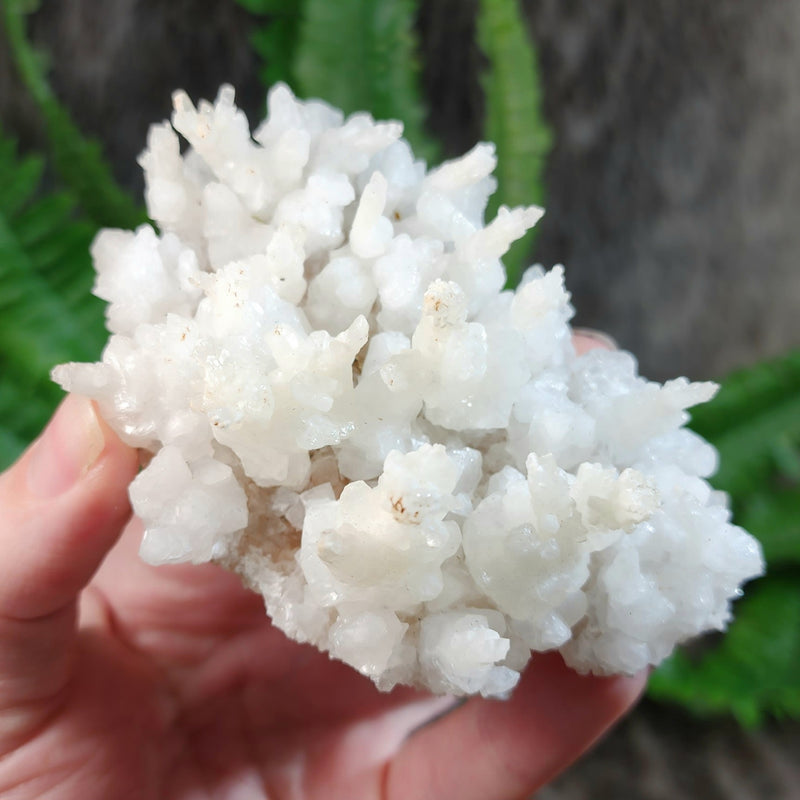 Aragonite & Calcite Crystal Cluster D (4")