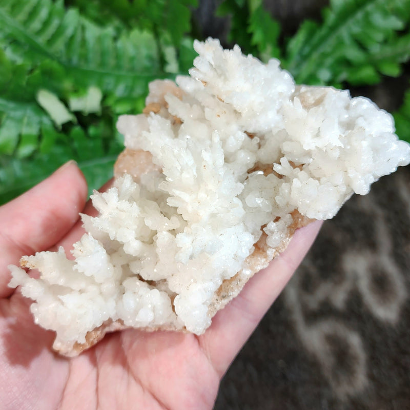 Aragonite & Calcite Crystal Cluster E (4.5")