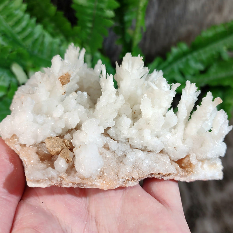 Aragonite & Calcite Crystal Cluster E (4.5")