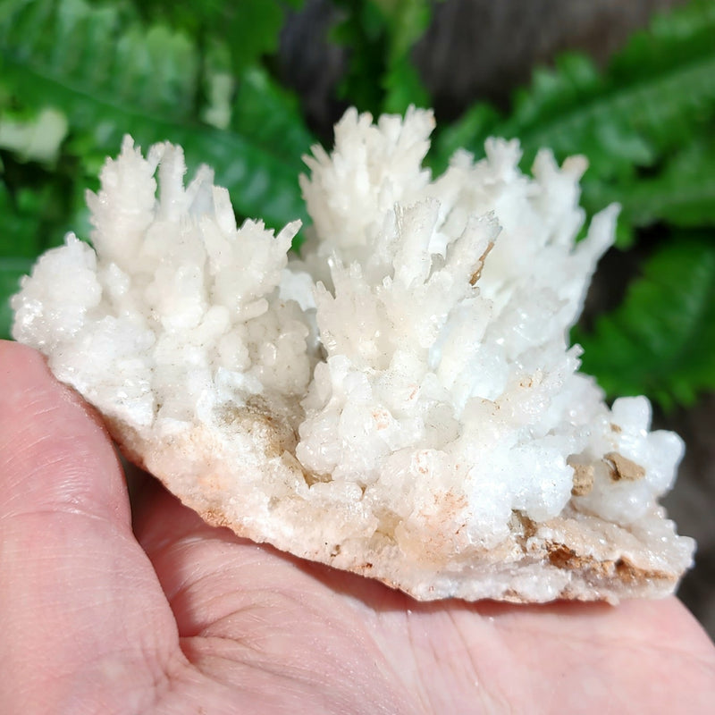 Aragonite & Calcite Crystal Cluster E (4.5")