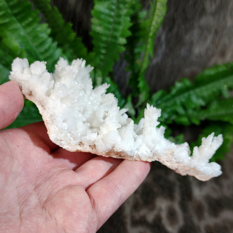 Aragonite & Calcite Crystal Cluster F (5.25")