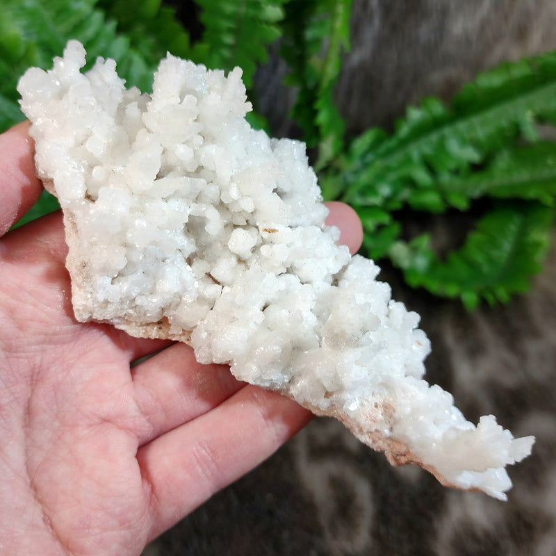 Aragonite & Calcite Crystal Cluster F (5.25")