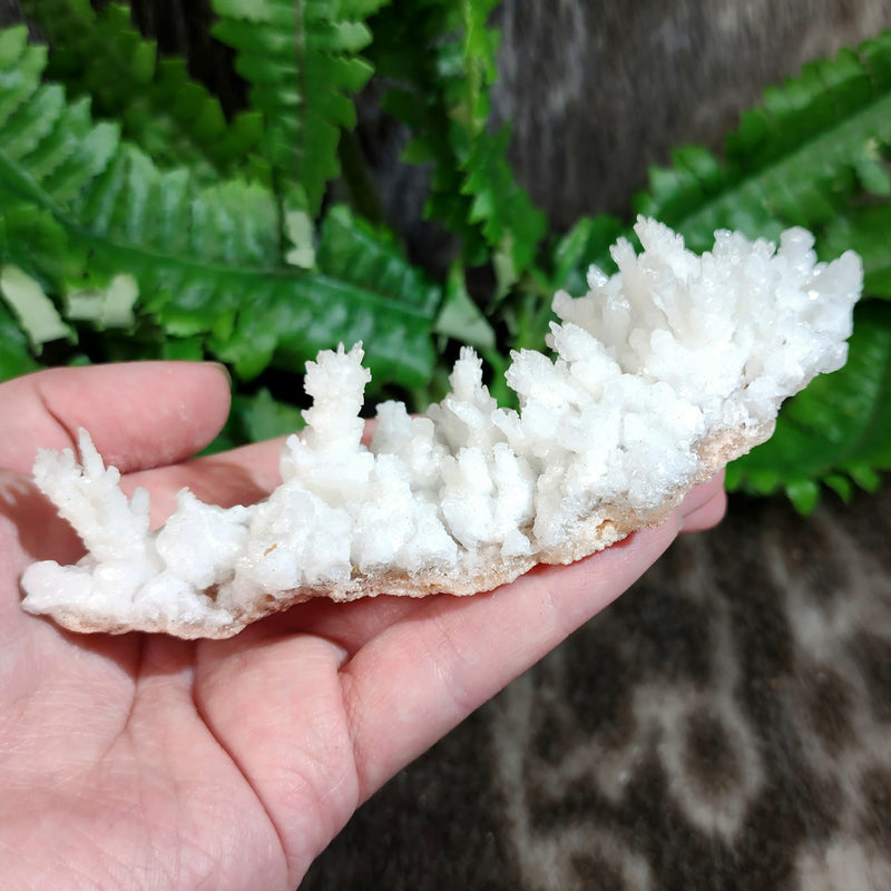 Aragonite & Calcite Crystal Cluster F (5.25")