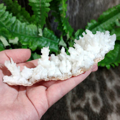 Aragonite & Calcite Crystal Cluster F (5.25