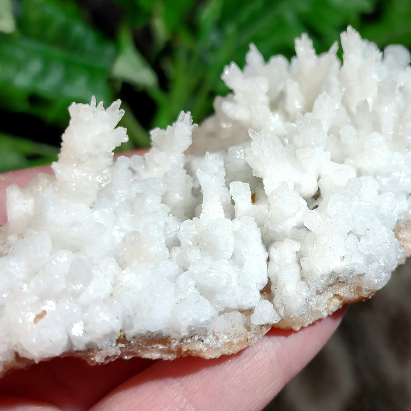Aragonite & Calcite Crystal Cluster F (5.25")