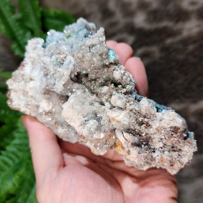 Blue Aragonite Cluster B (5.5")