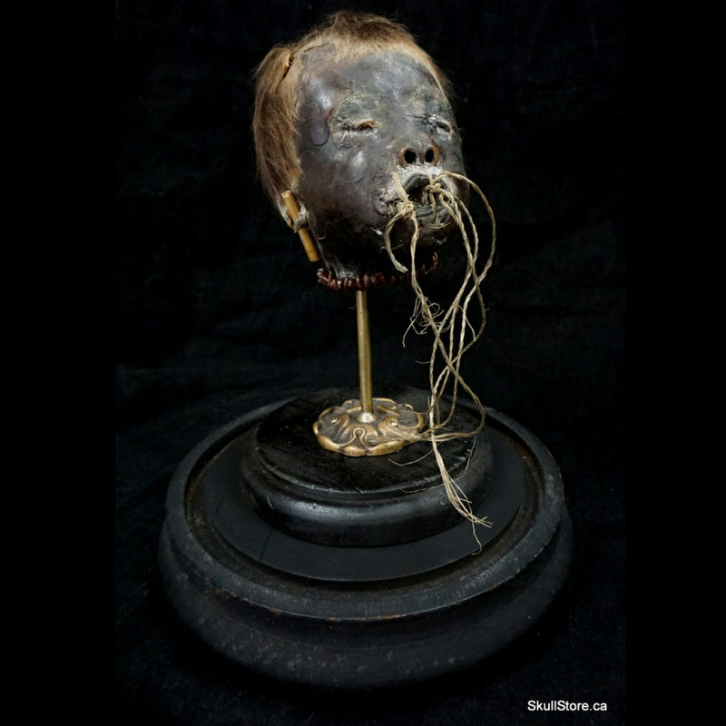 Shrunken Head, Child