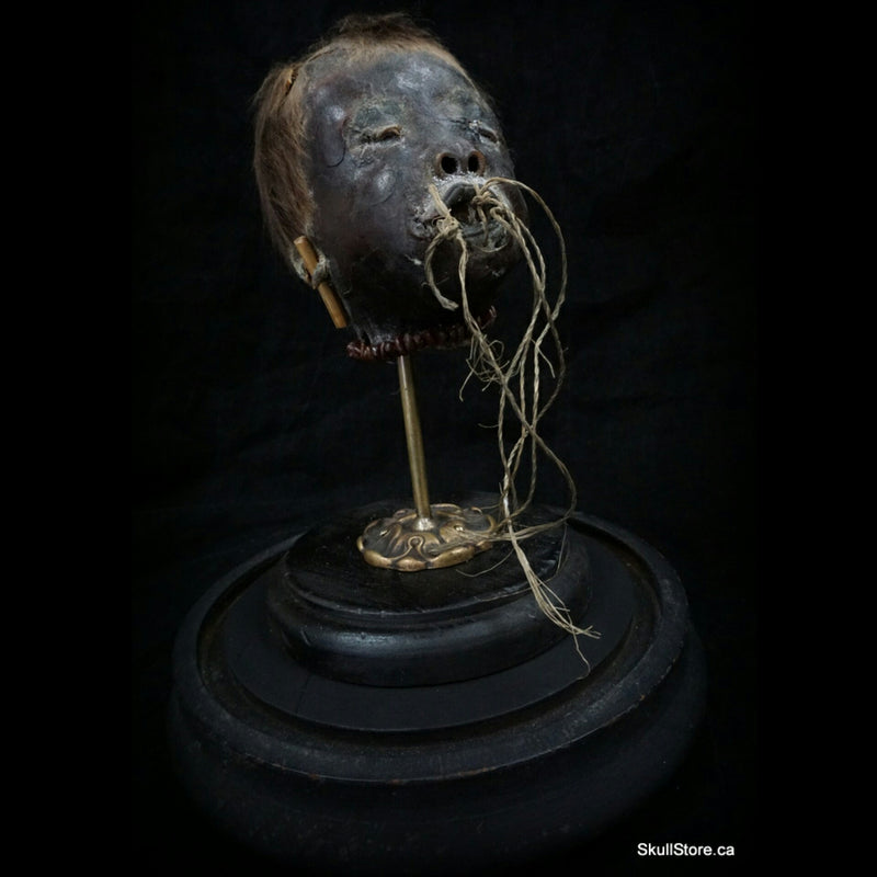 Shrunken Head, Child