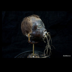 Shrunken Head, Child