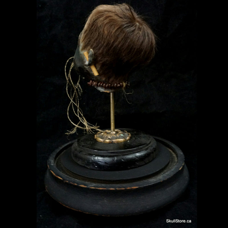Shrunken Head, Child