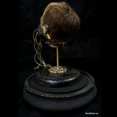 Shrunken Head, Child