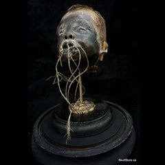 Shrunken Head, Child