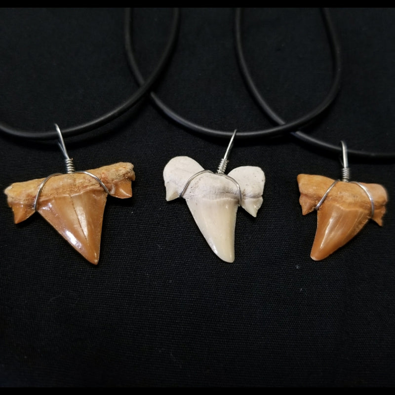 Fossil Shark Tooth Necklace