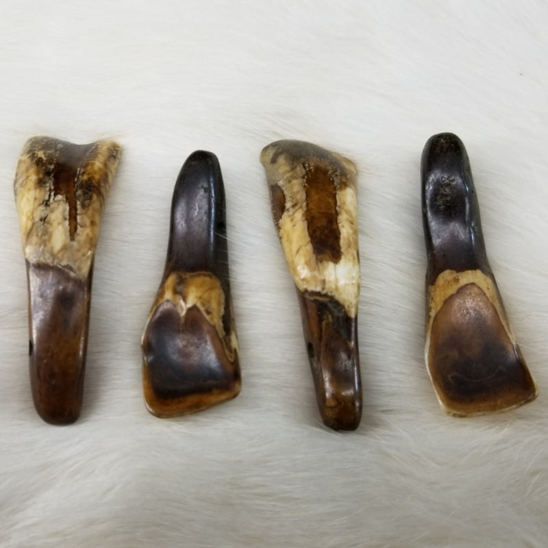 Buffalo Teeth (Brown), Drilled Sets of 4