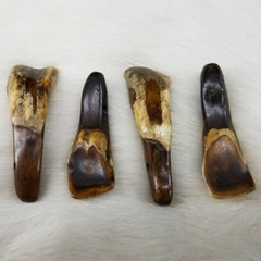 Buffalo Teeth (Brown), Drilled Sets of 4