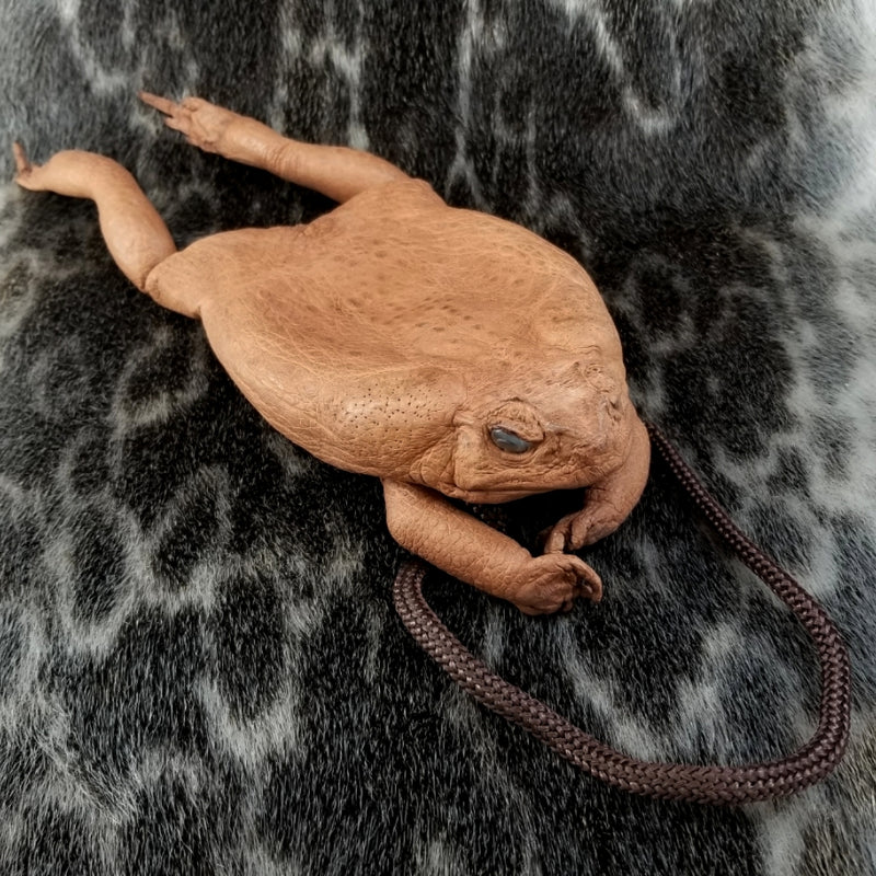 Dyed Cane Toad Coin Pouch: Medium/Large: Navy Blue