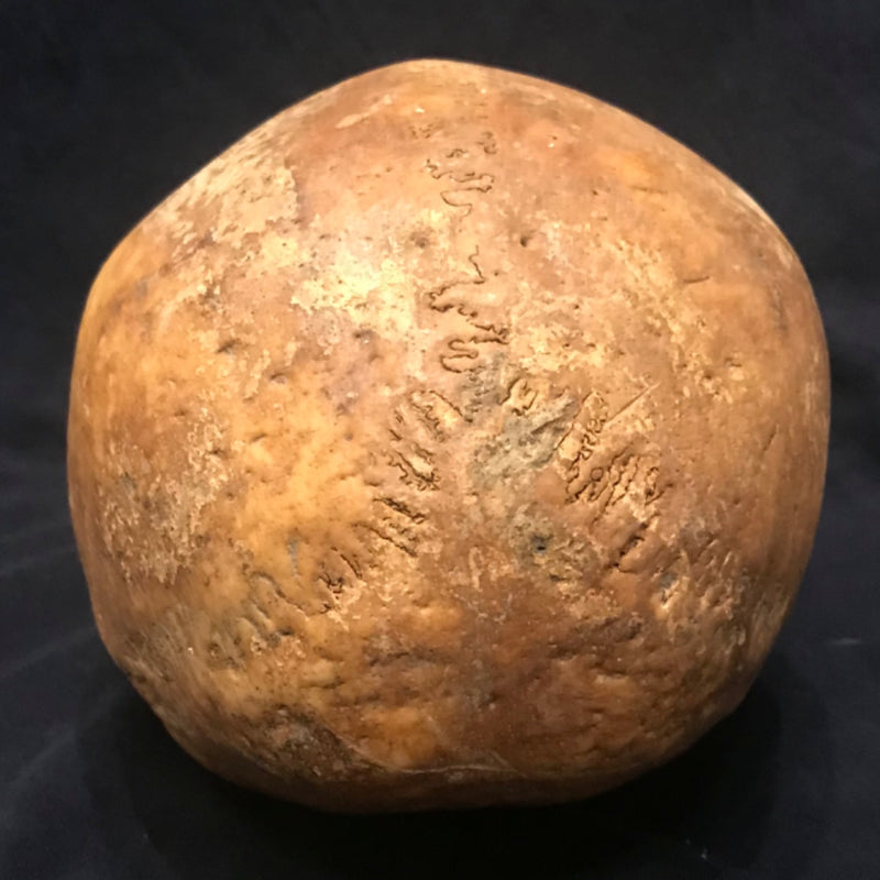 Toulouse Elongated Skull, Medieval