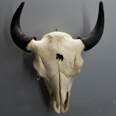 Bison Skull (SALE)