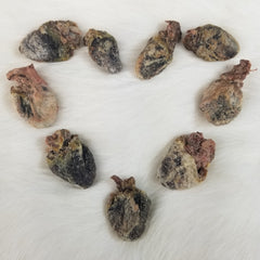 Carrion Crow Hearts (SALE)