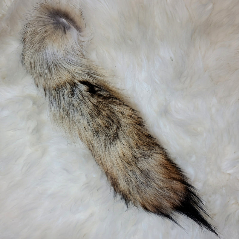 Coyote Tails