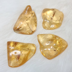 Madagascar Copal (Young Amber)