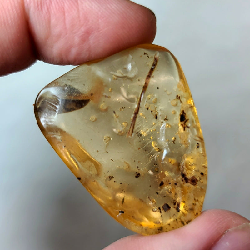 Madagascar Copal (Young Amber)