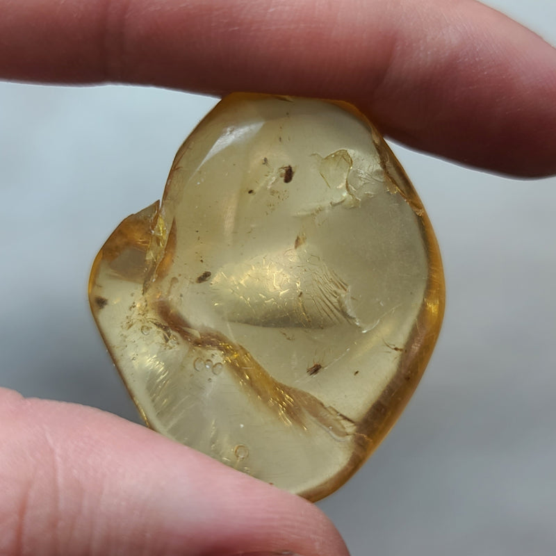 Madagascar Copal (Young Amber)