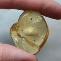 Madagascar Copal (Young Amber)