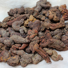 Prehistoric Poop (Coprolite)