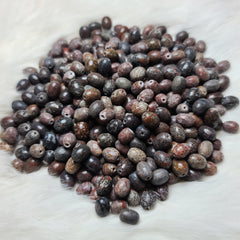 Dinosaur Bone Beads (SET OF 2)