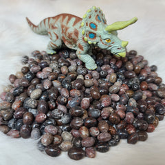 Dinosaur Bone Beads (SET OF 2)