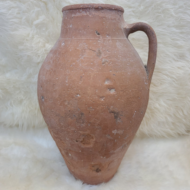 Ancient Roman Shipwreck Olive Jar, XL