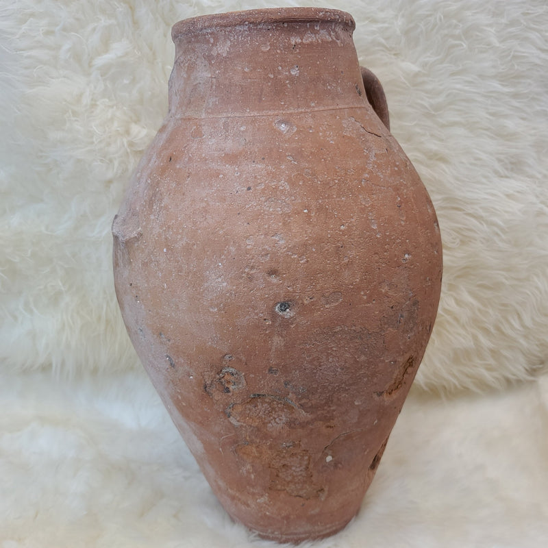 Ancient Roman Shipwreck Olive Jar, XL