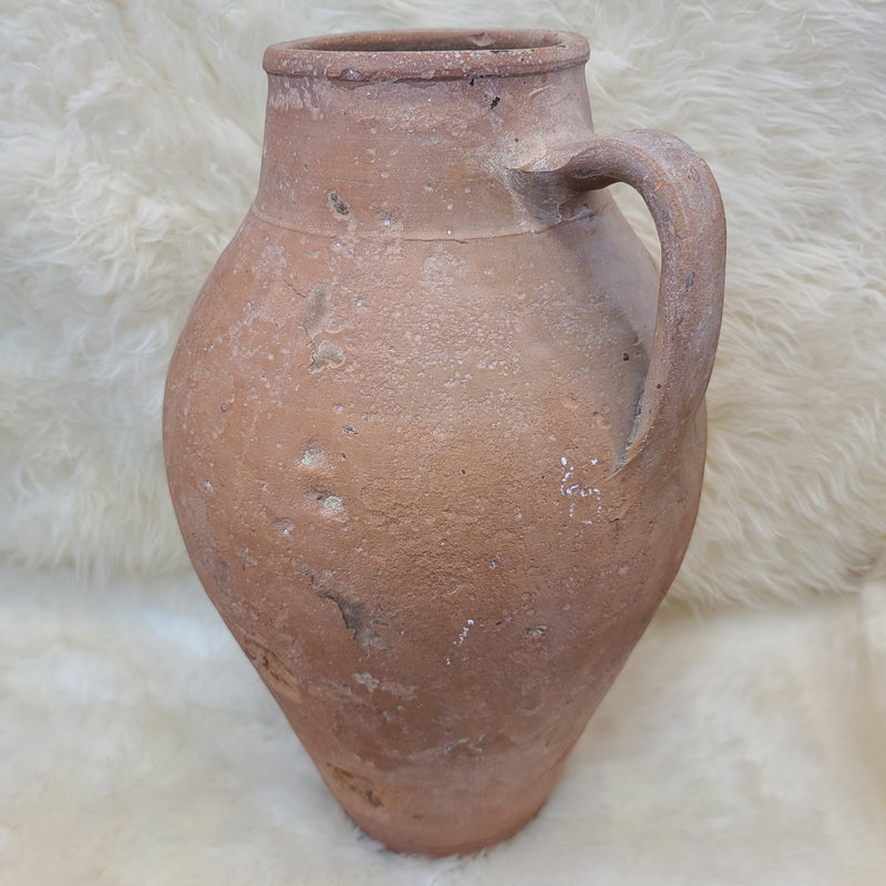 Ancient Roman Shipwreck Olive Jar, XL