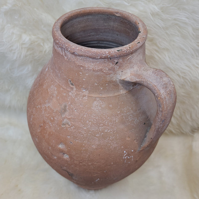 Ancient Roman Shipwreck Olive Jar, XL
