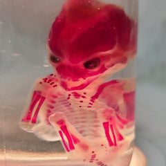 Human Fetus, Diaphonized