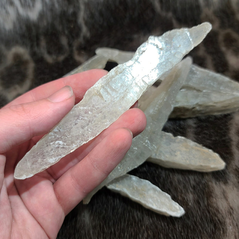 Selenite Crystals (4-5")