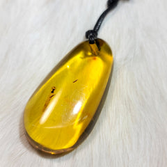 Dominican Amber Necklace, C (Leaf Debris)