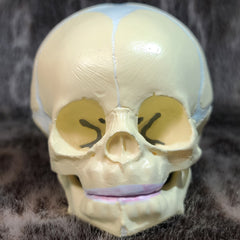 Baby Skull, Cast