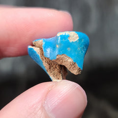 Ancient Egyptian Lotus Amulet, B