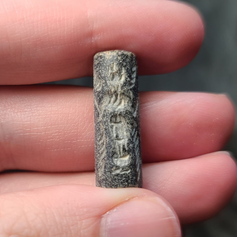Ancient Egyptian Cylinder Seal, C