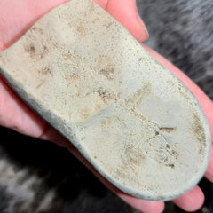 Fossil Capelin Fish, G (Quebec)