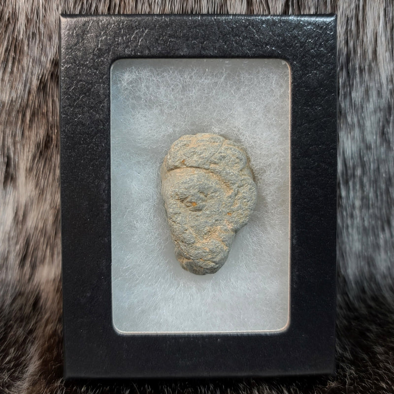 Gandharan Stone Head, D